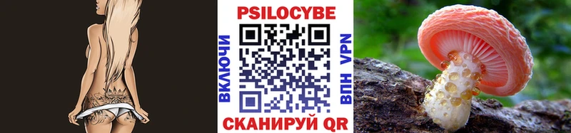 Галлюциногенные грибы Psilocybe  Железноводск 